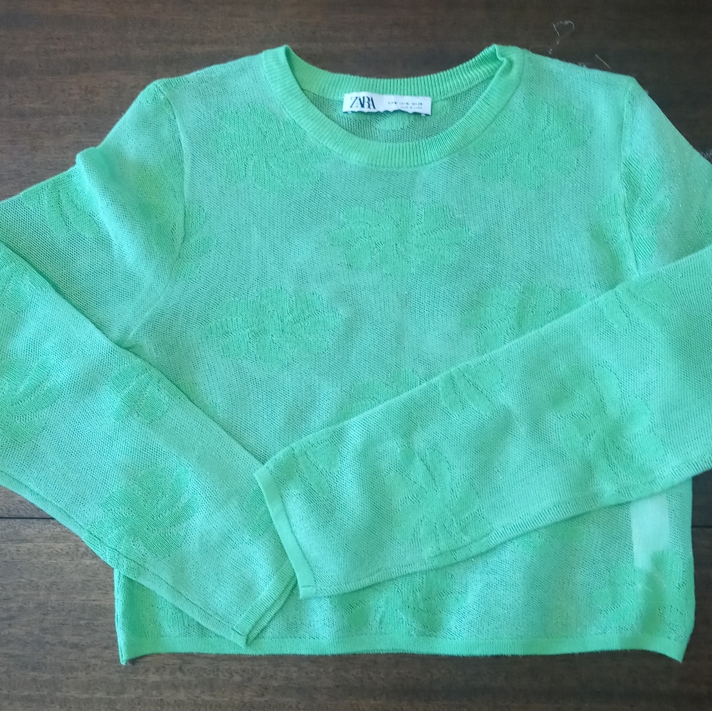 Zara Sheer Floral Crewneck Knit Sweater Women's Size M